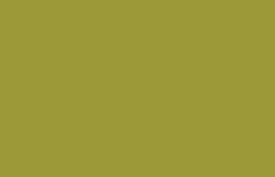 0159 Cadmium Yellow Light Hue
